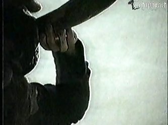 Cow Anal Zoo Porn