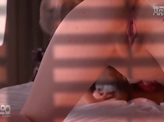 Pitbull Dog Porn