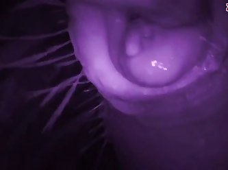 How To Fuck Your Dog Porn
