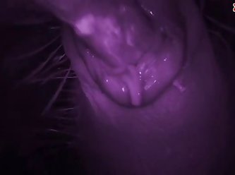 How To Fuck Your Dog Porn