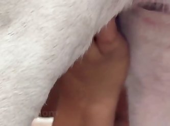 Fingering Female Dog Porn