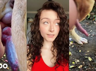 Zoo Tube Lesbian