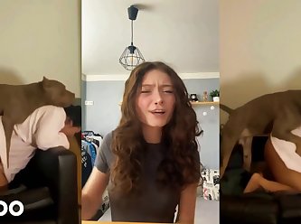 Zoo Tube Lesbian