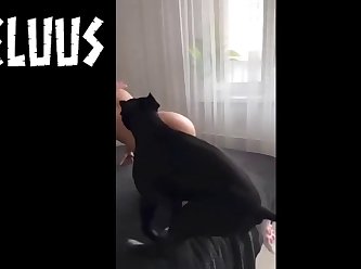 Tori Dog Porn