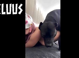 Tori Dog Porn