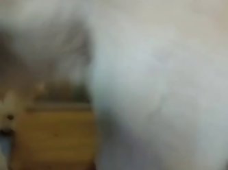 Teen Russian Dog Porn