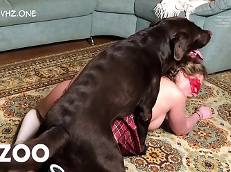 Man Brutally Fucks Dog Porn
