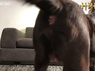 Art Of Zoo Two Dogs