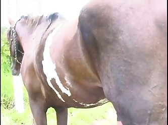 Gotten. She Was Enjoying Some Of The Degrading