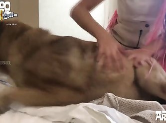 Polish Dog Porn