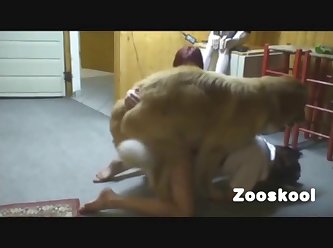 Free African Dog Porn