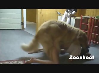 Free African Dog Porn