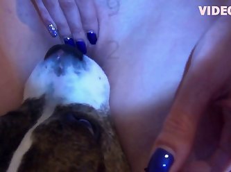 Star Wars Dog Porn