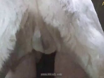 Straightfjdhd Dog Porn