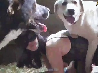 Straightfjdhd Dog Porn