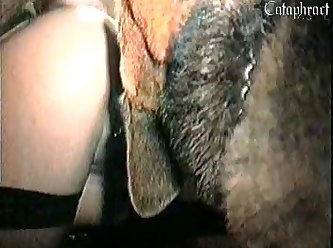 Sex In Front Of Dog Porn