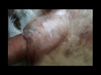 Sheena Ryder Dog Porn