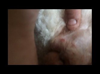Sheena Ryder Dog Porn