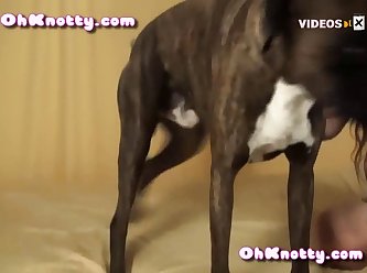 Dog Porn Best