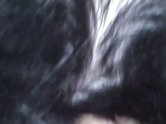 Leeroy Matata Zoophilie