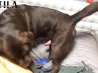 Sleeping Girl Dog Porn