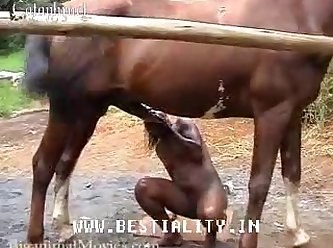 एनेमल सेक्स वीडियो