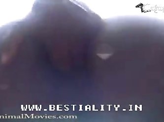 Animal Porno Izle