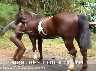Animal Porno Izle