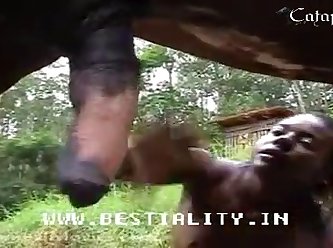 Zoofilia Mulher Com Cavalo