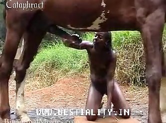 Hentai Com Cavalo