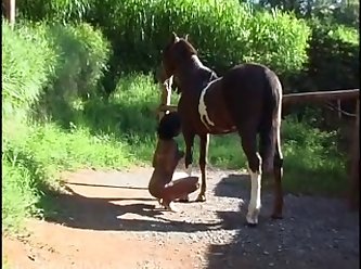 Homem Transando Com Animal