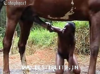 Hentai Com Cavalo