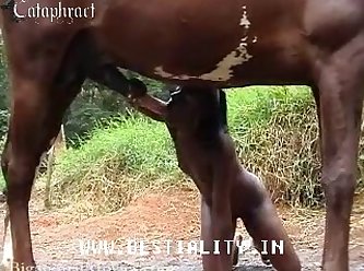 Hentai Com Cavalo