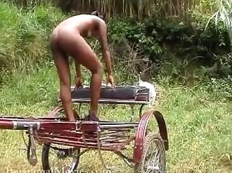 Fudendo Com Cachorro