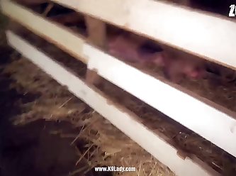 Porno Zoofilia