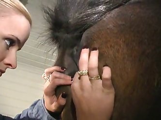 سكس بنات معا حيوانات