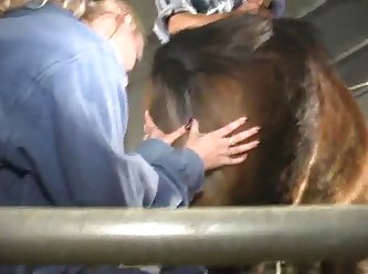 سكس بنات معا حيوانات