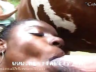 Filme De Pornô Animal