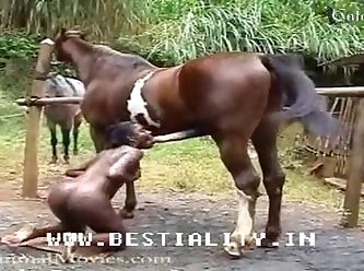 Filme De Pornô Animal