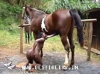 Sex Thú