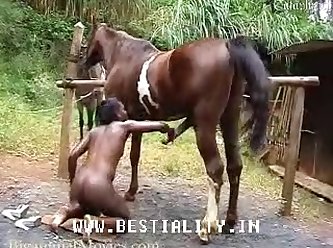 Sex Thú