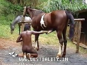 Sex Thú