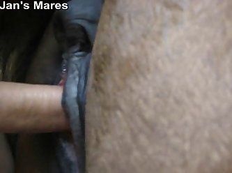 Vídeos De Zoofilia Grátis