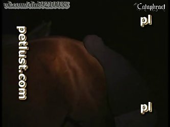 Pornô Cavalo Comendo