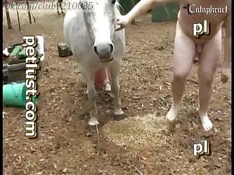 Pornô Cavalo Comendo