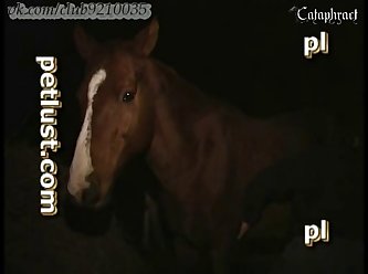 Pornô Cavalo Comendo