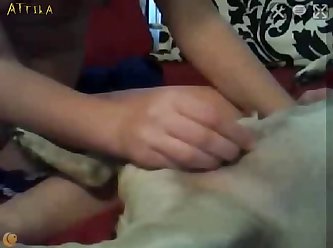 1580 Young Girl Lets Her Dog Lick Her On Webcam (part 7)