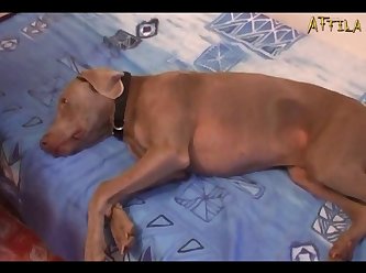 Anna Masked Mistress Part 1