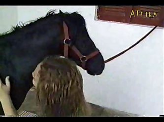 Bestiality Bizarre Kinky Animal Passion Sex With Animals Horse Fucks And Ejaculates On The Pussy And Mouth Of A Blonde Girl Part 1